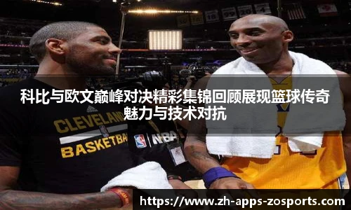 中欧体育官网