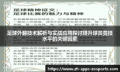 中欧体育